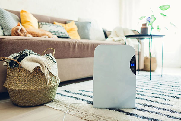Dehumidifier unit